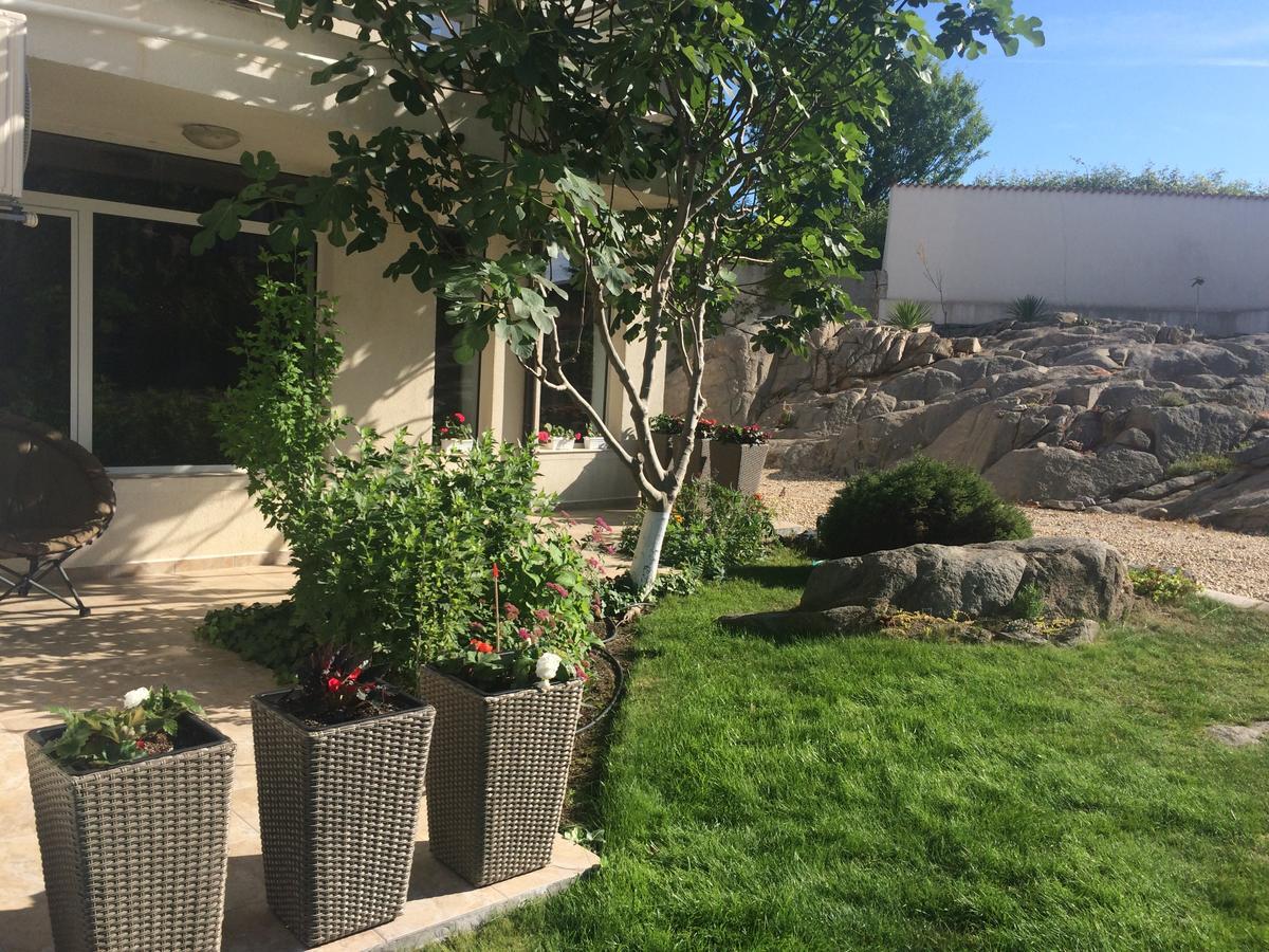 Apolonia Apartments Sozopol Exterior photo